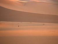 meharee dans le desert - Tunisie
