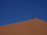 rando chameliere - desert tunisien